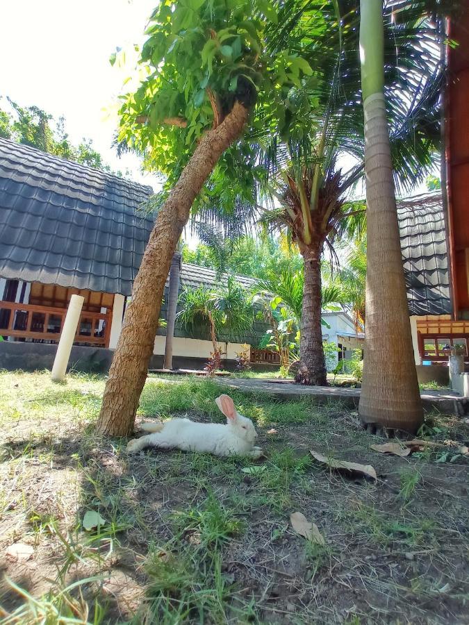 Follow The Rabbit Bungalow غيلي آير المظهر الخارجي الصورة